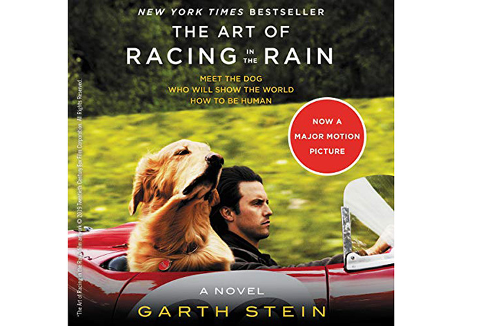 The Art Of Racing In The Rain Book Review (2)