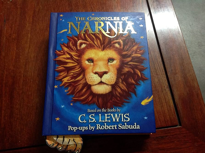 The Chronicles Of Narnia Book Review (2)