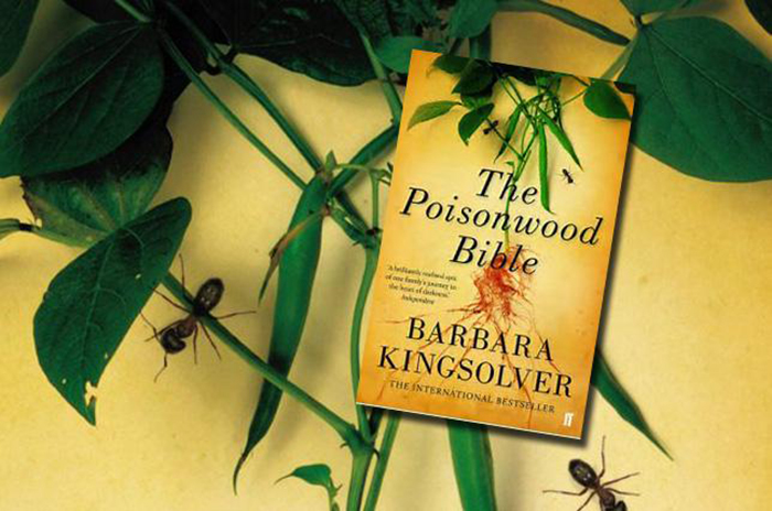 The Poisonwood Bible Book Review (1)