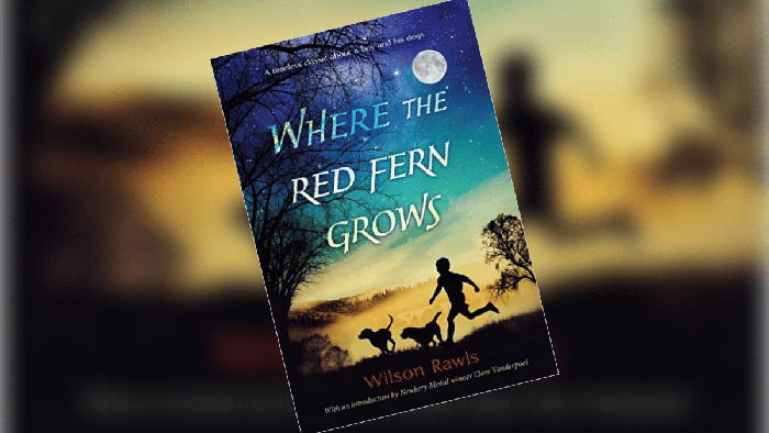 Where The Red Fern Grows Book Review (1)