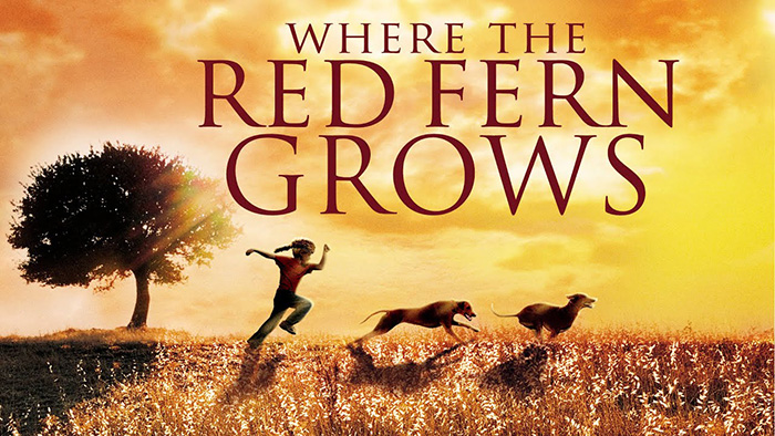 Where The Red Fern Grows Book Review (2)