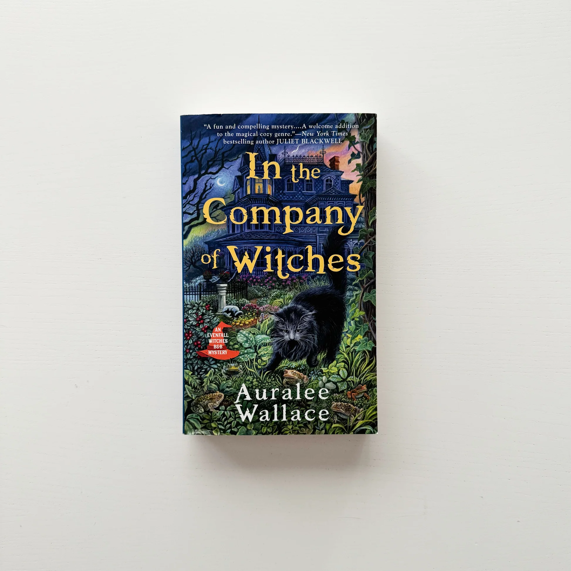 In the Company of Witches by Auralee Wallace2